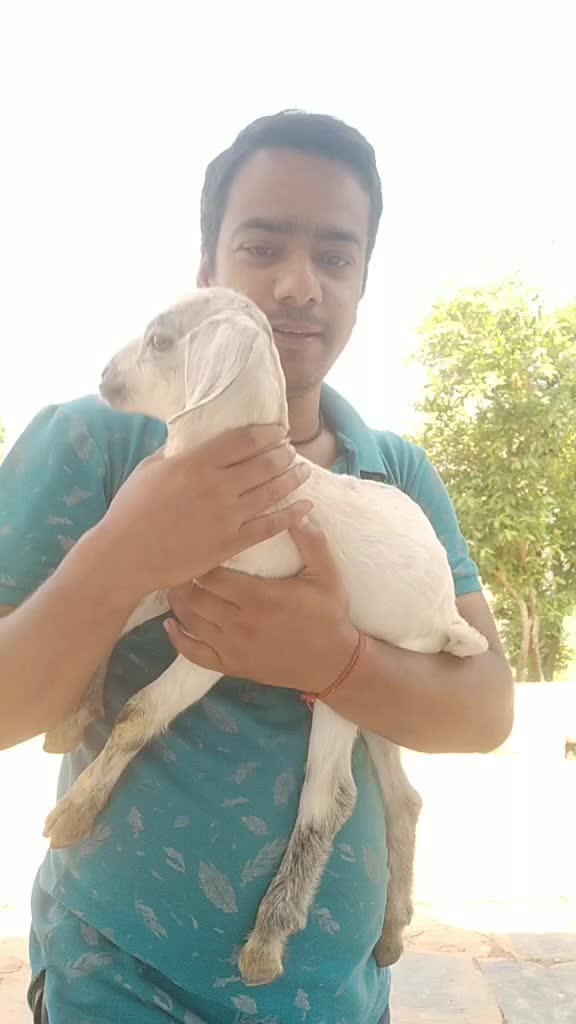 @chandu.aswal