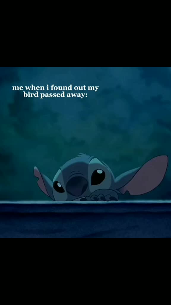 @feelinglostinside
