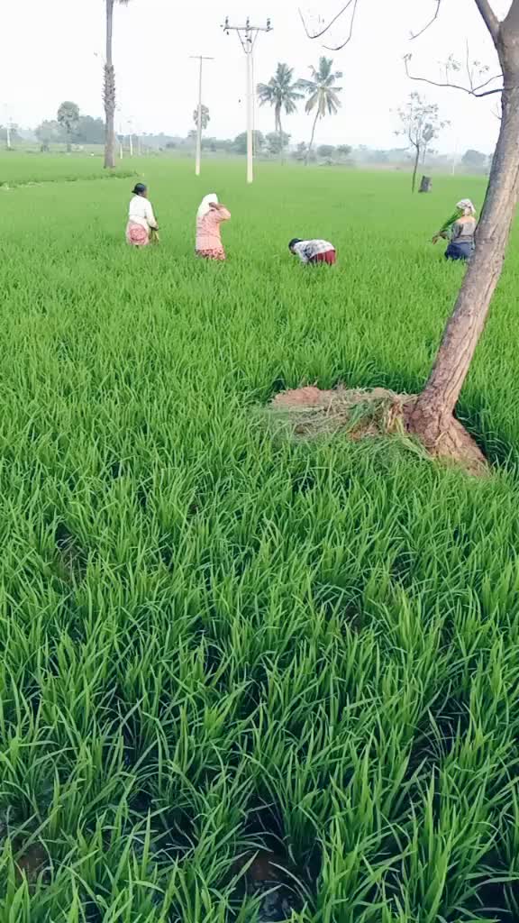 @Dasari.praveen