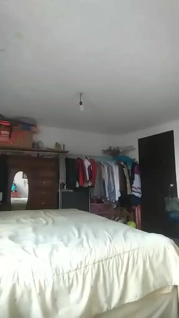 @Leopranut