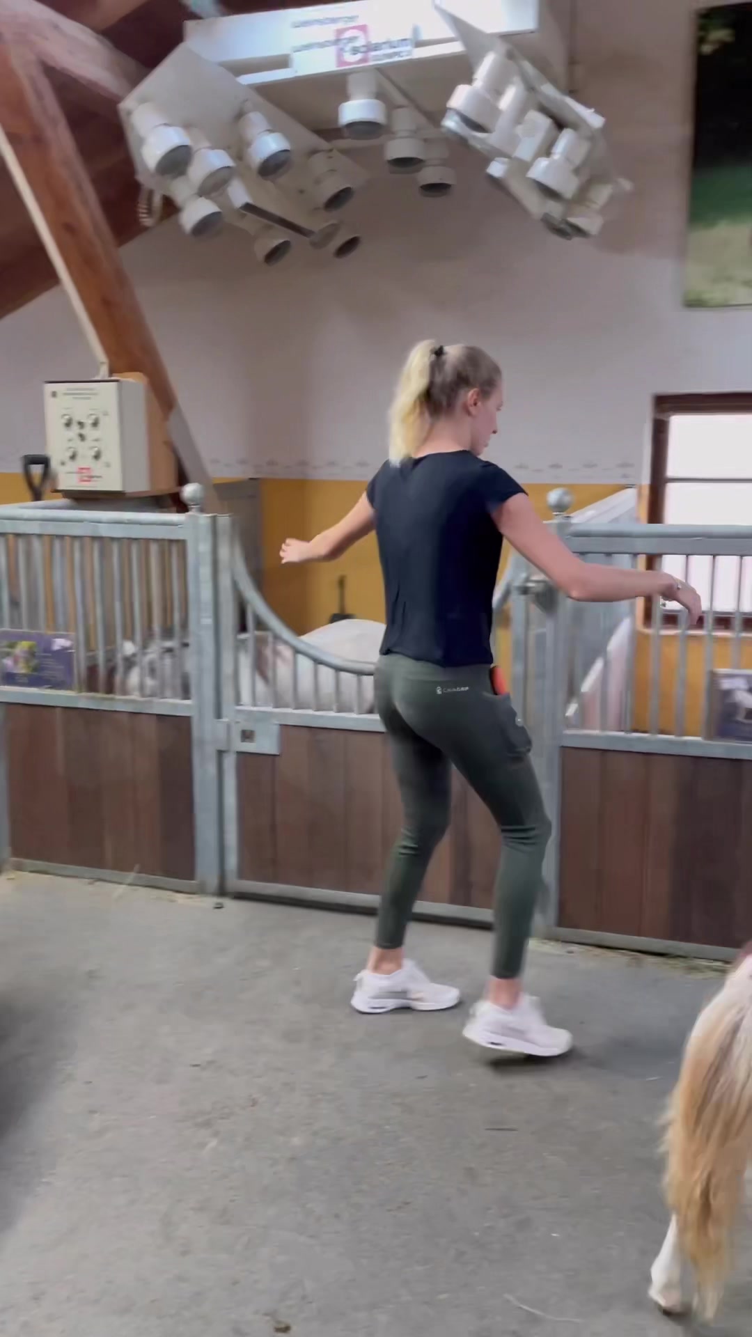 @julia_libertyhorses
