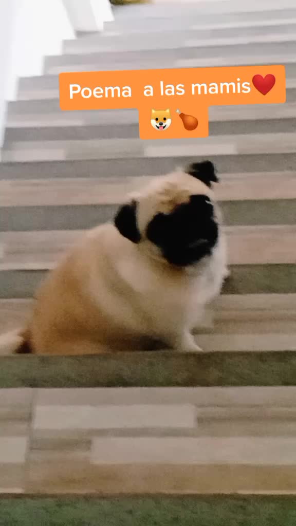 @quakitty❤