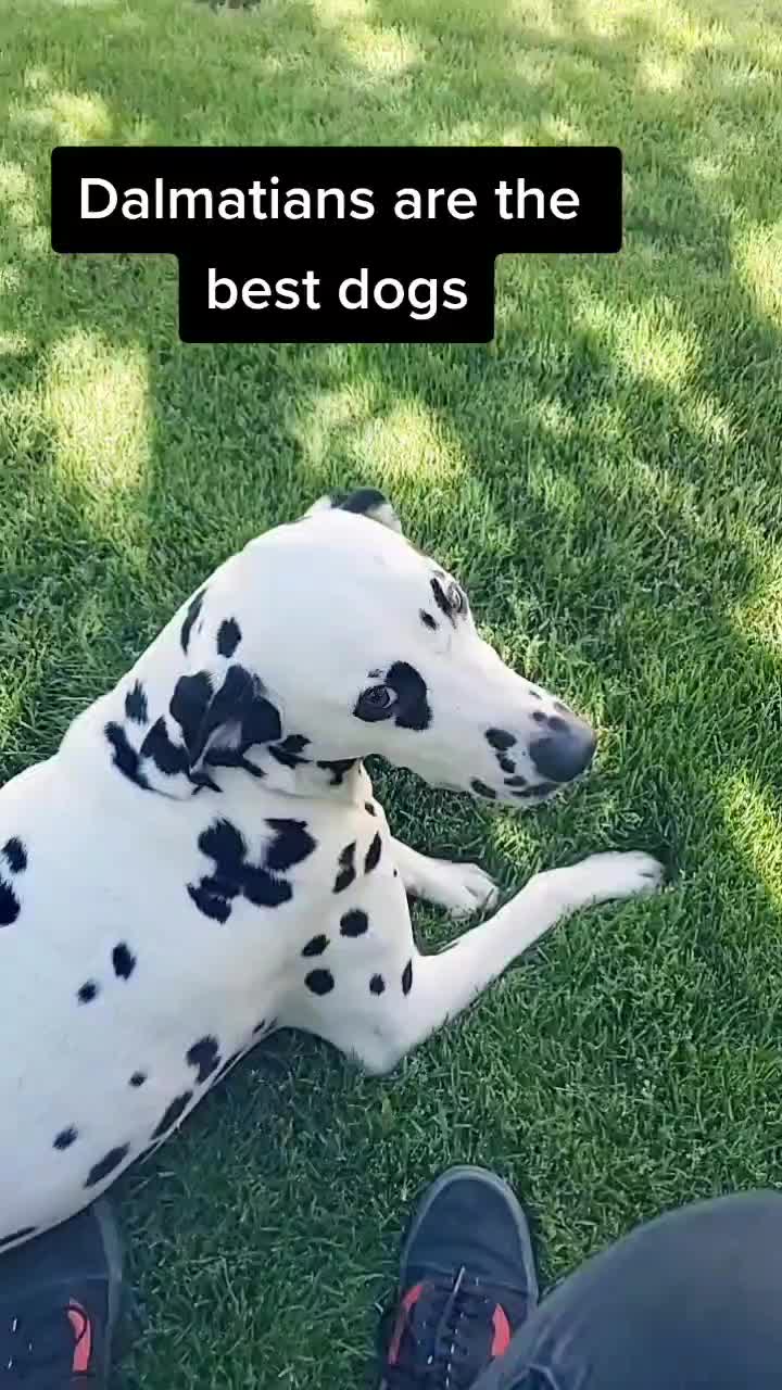 @leslie.hutchings99