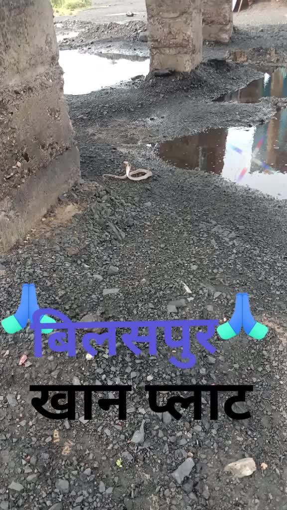 @Durgesh kumar Kewat