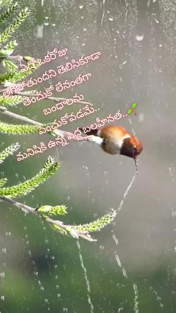 @𝓻𝓪𝓿𝓲𝓼𝓱𝓻𝓾