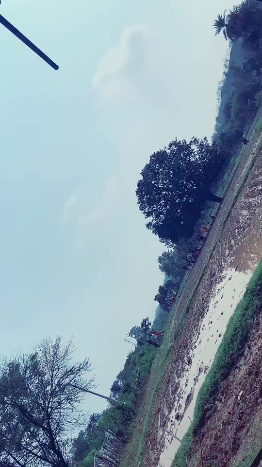 @user74263107379