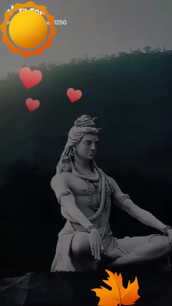 @Rita Gupta