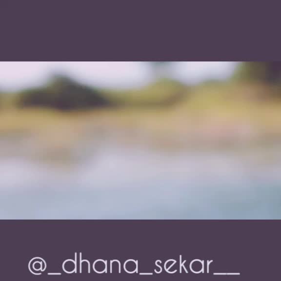 @dhanasekar