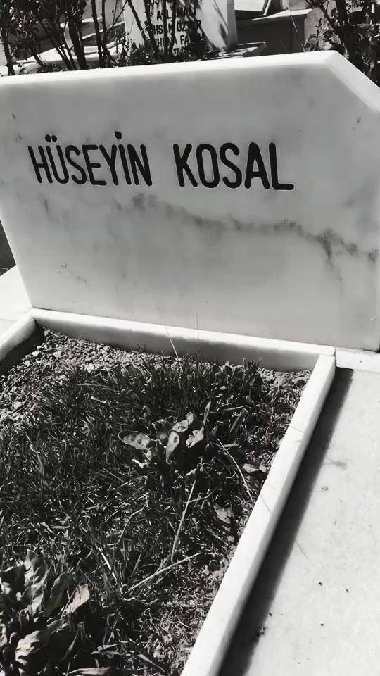 @Şevval kosal