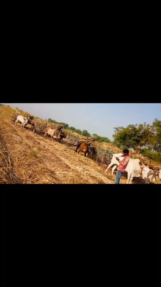 @Vikas Gade Patil
