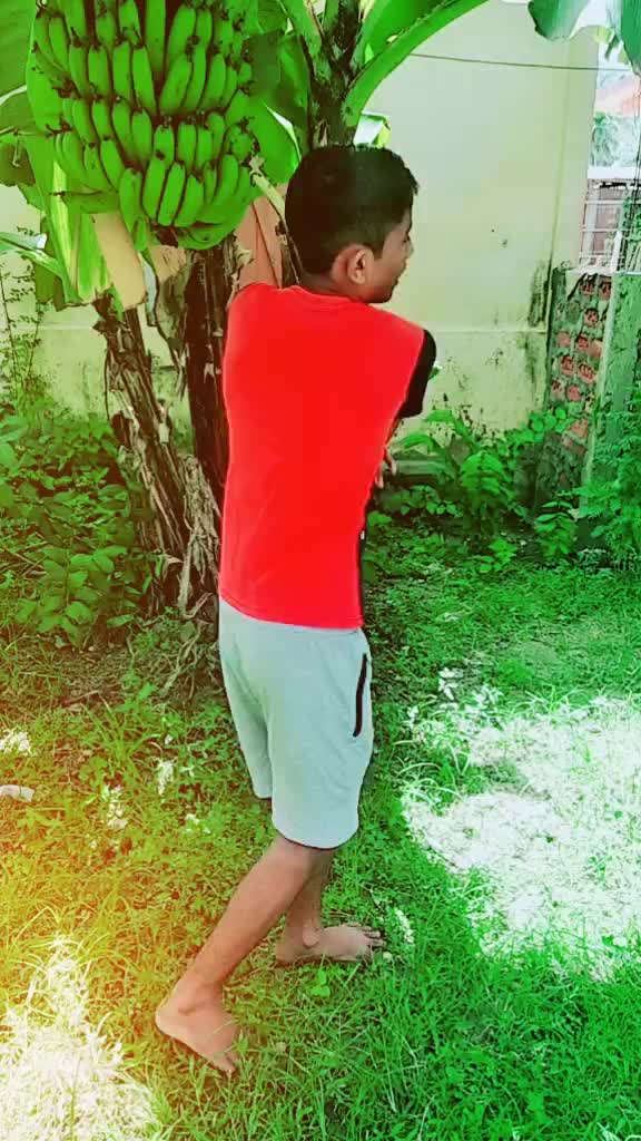 @baishya brothers