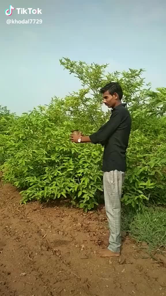 @jay_khodal_7729