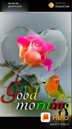 @AkAsh GhosH