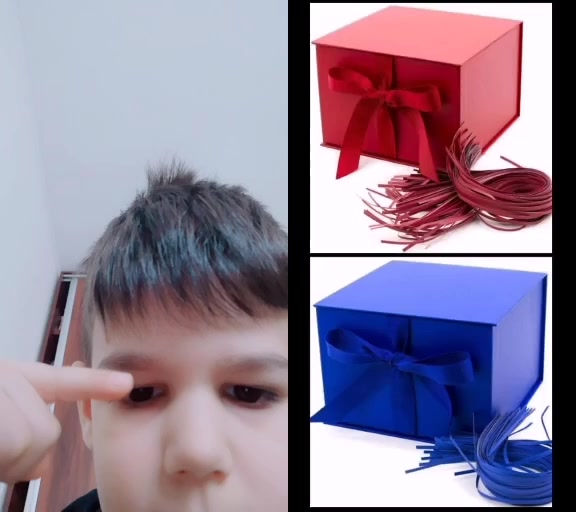 @Mincea Vlad