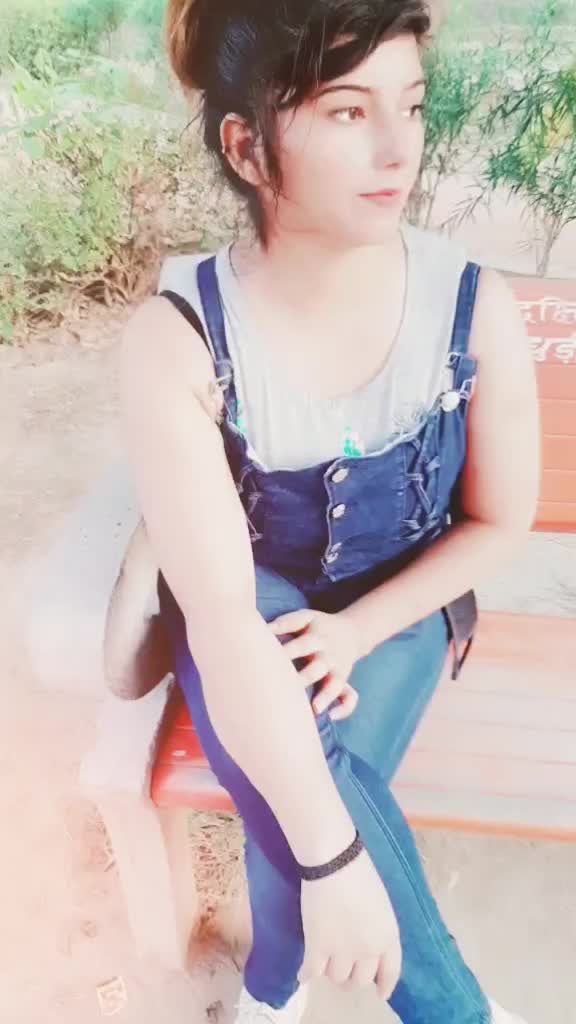 @jungli billi 🙀😻