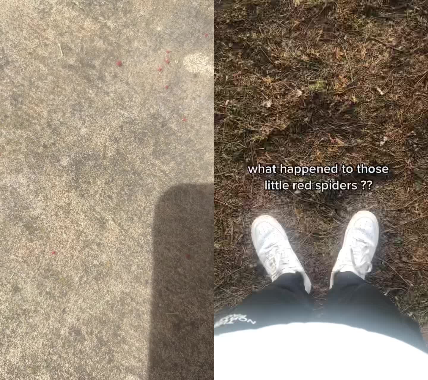 @always high.