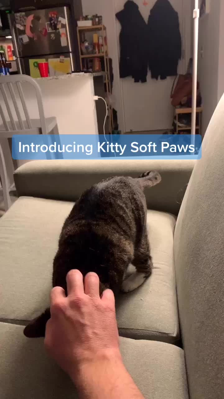 @dannydawesome