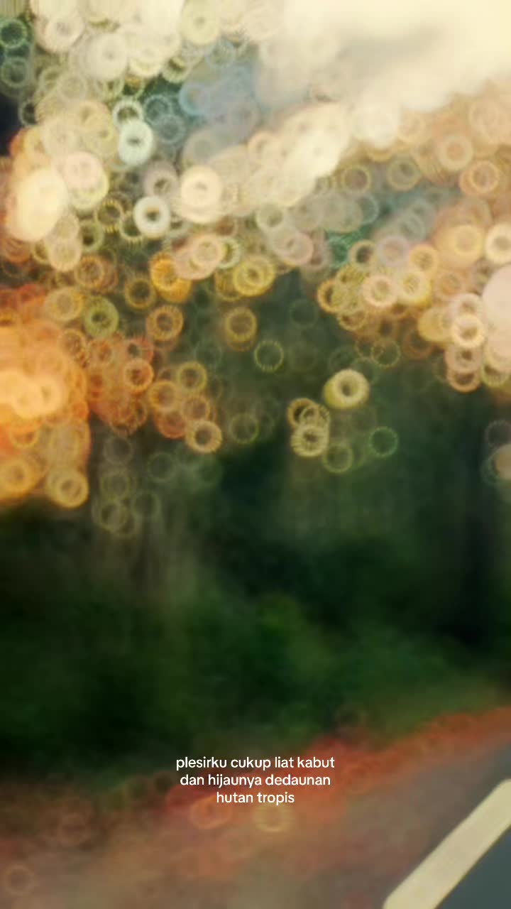 @mirak1927