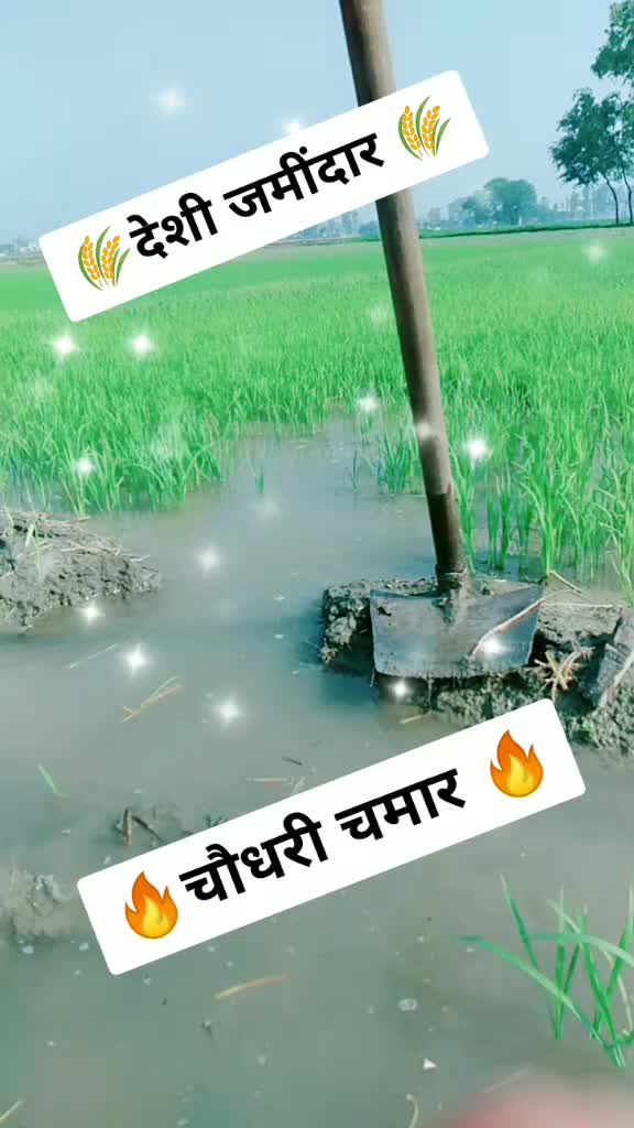 @Deepu Patlan