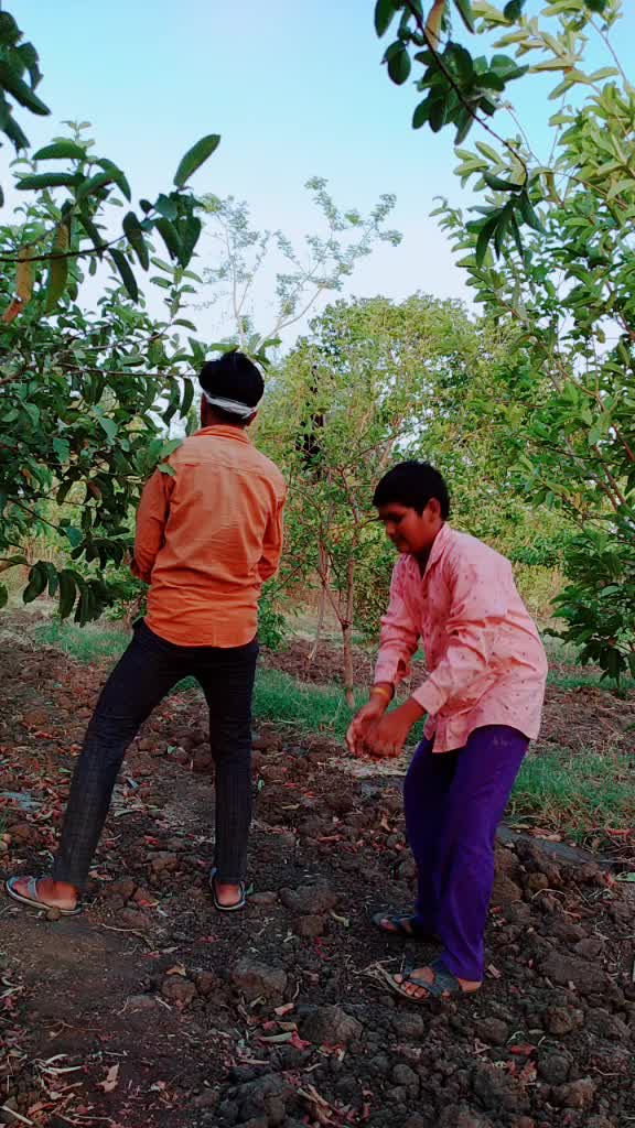 @user8766195632248