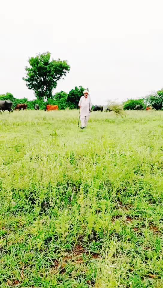 @Gadhavi raj