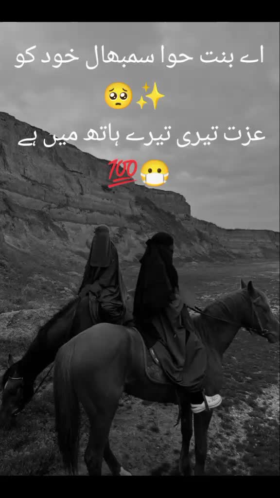 @Falak Rajpoot🖤