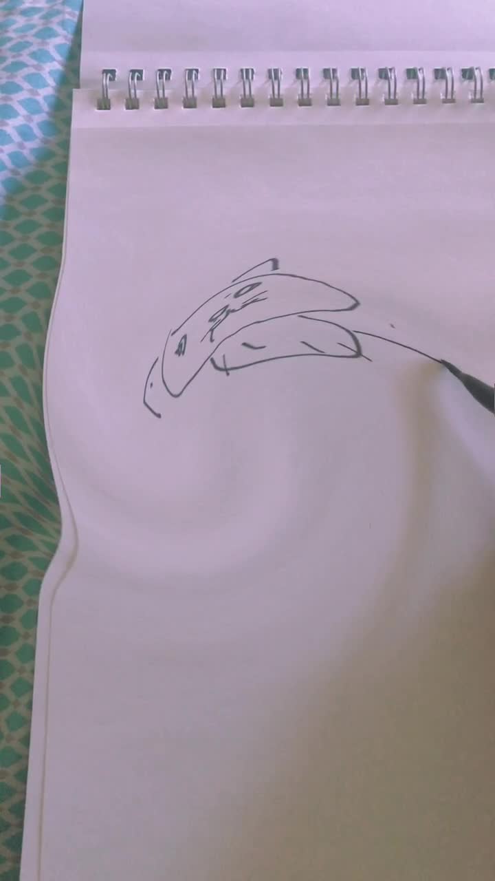 @drawing.aidan