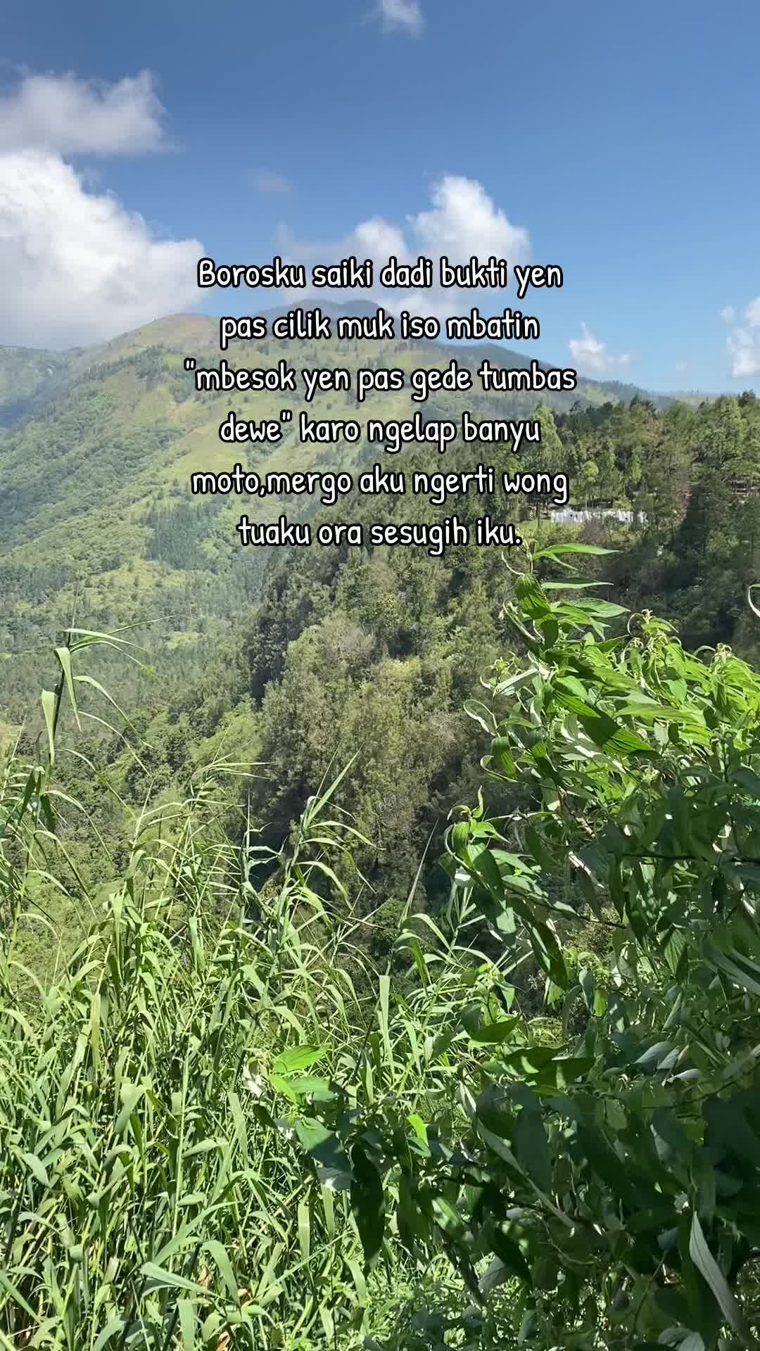 @Mas Arr