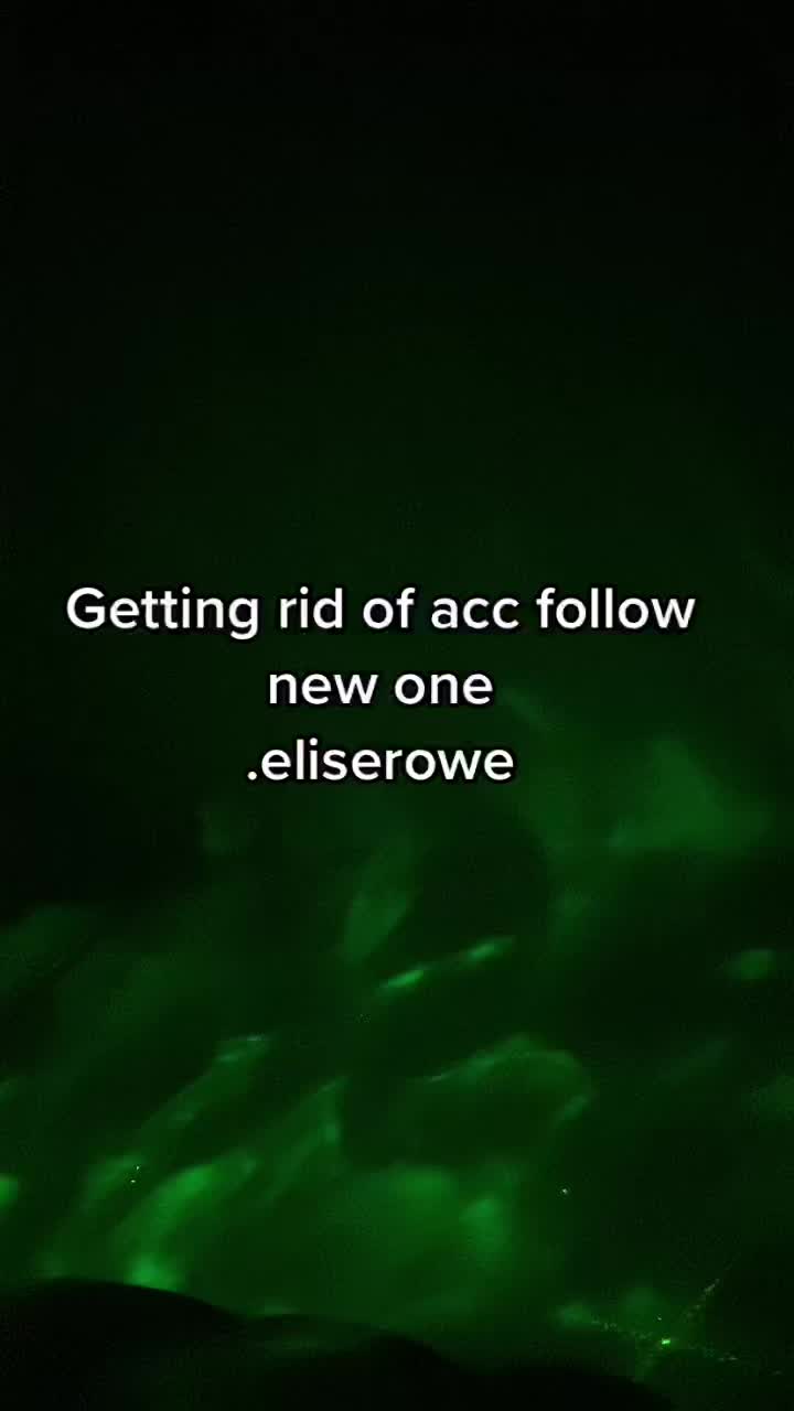 @follow new acc (.eliserowe)