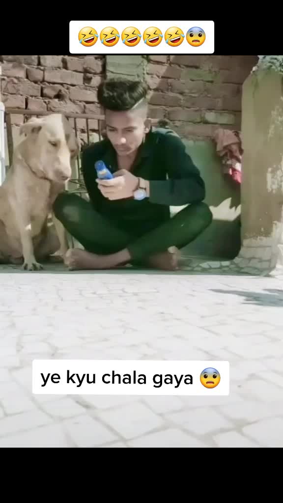 @comedy_dog_rocky