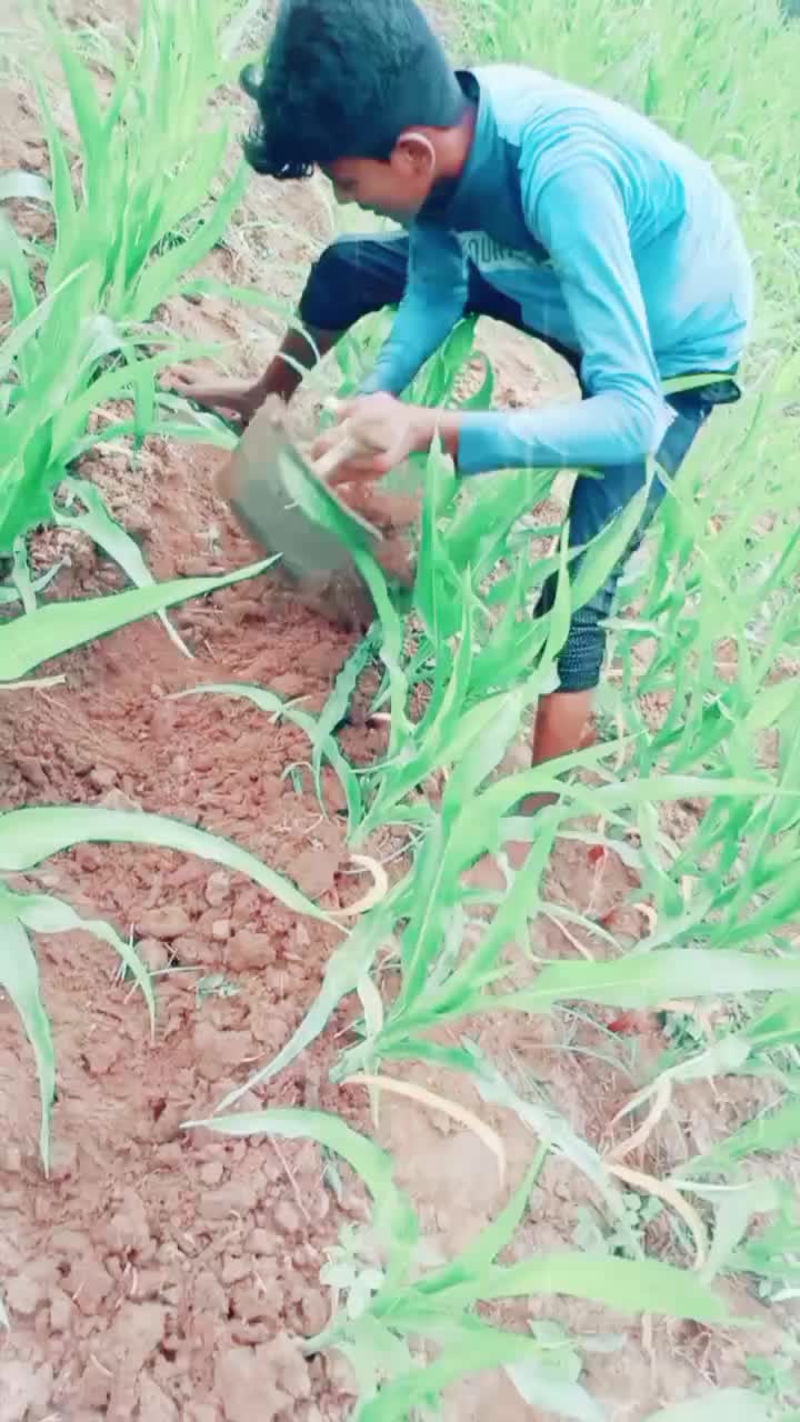 @sai teja