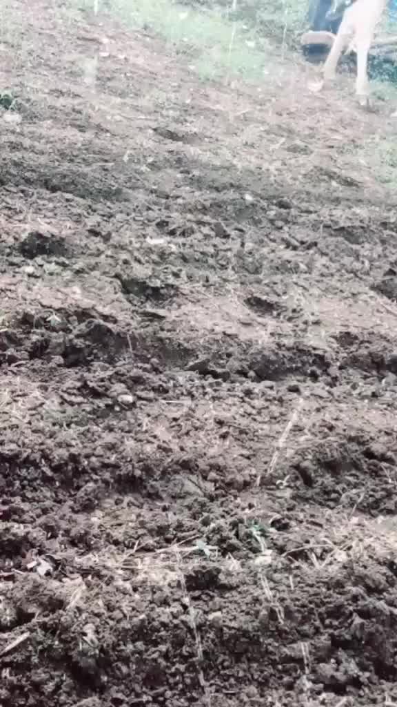 @सचिन सुरवसे