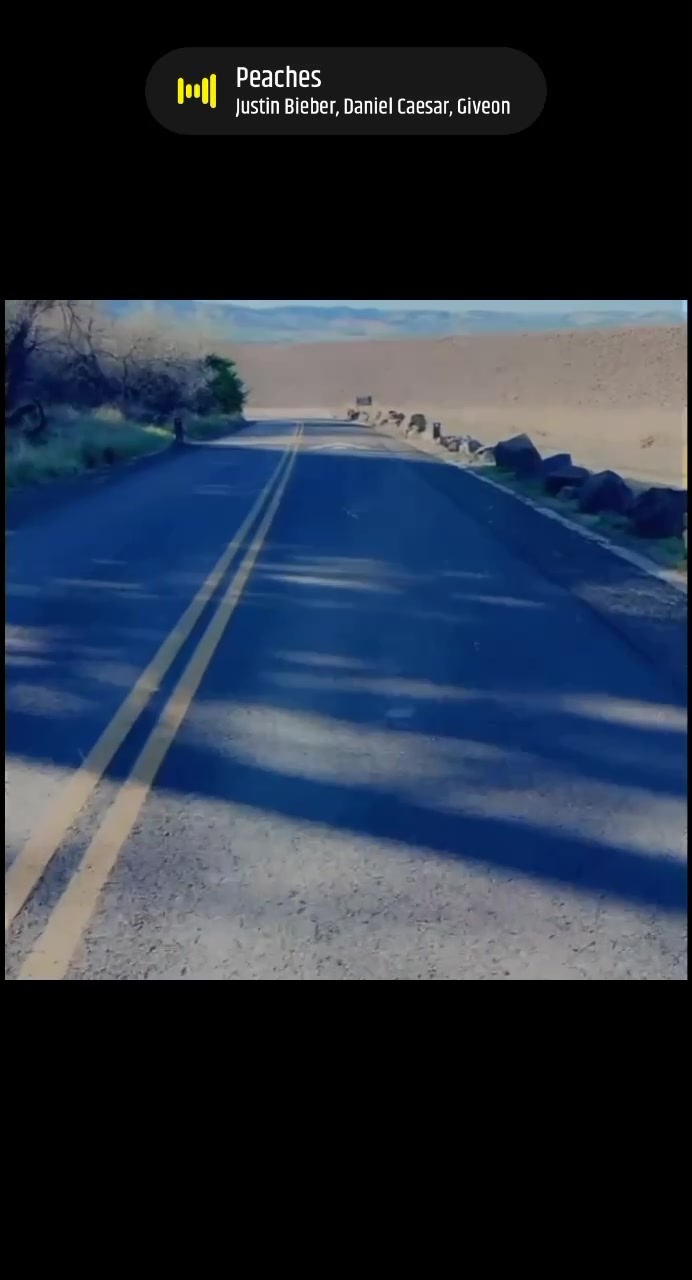 @user8156835256530