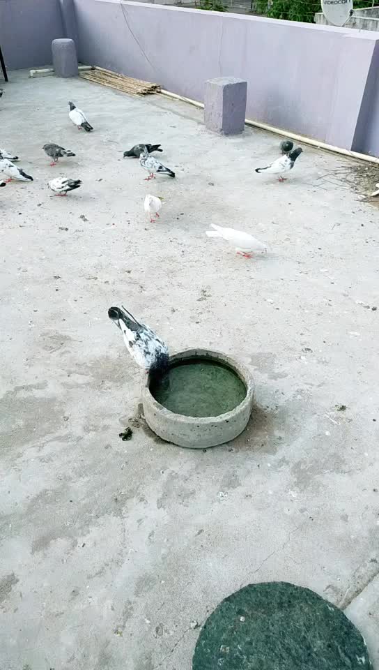 @Chirag Kumar