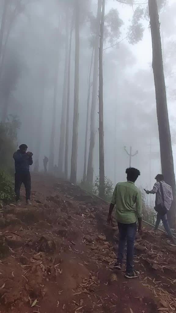 @Sreerag Velayudhan