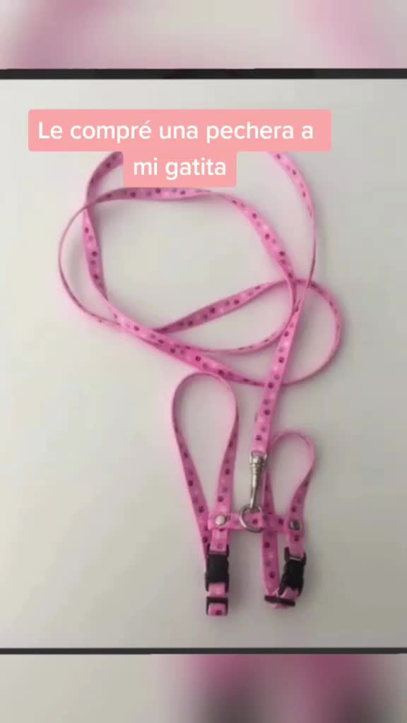 @Luis J.