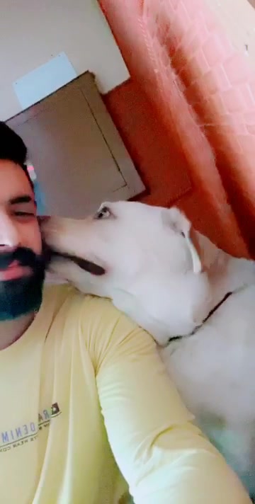 @Raghav Bhateja