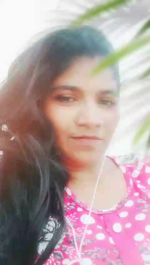 @user9065474678327