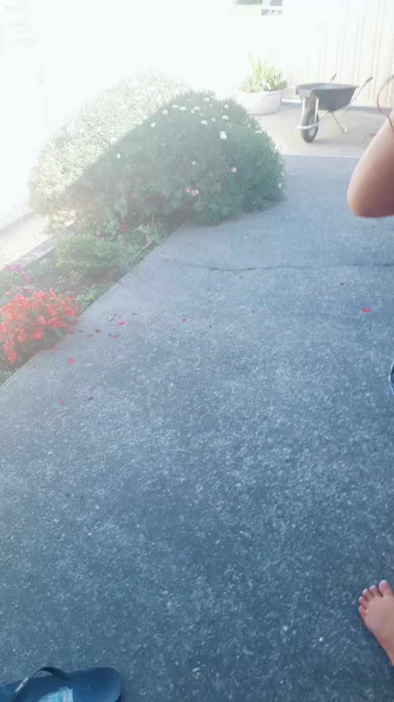 @Jess_thegreat11