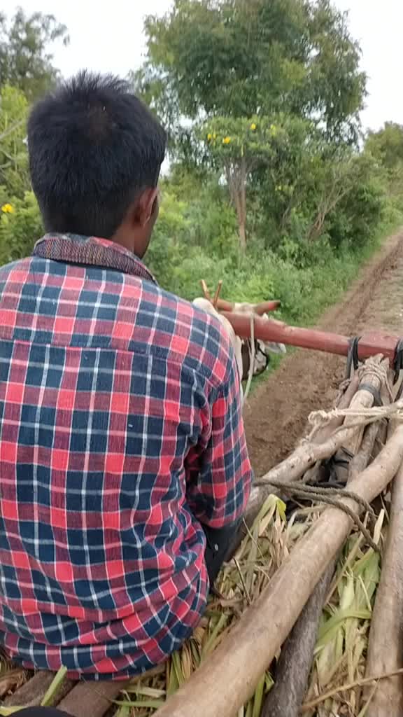 @kale patil