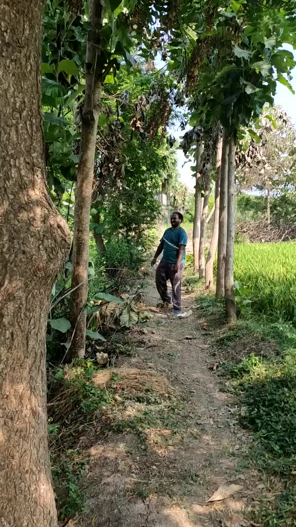 @harish yadav