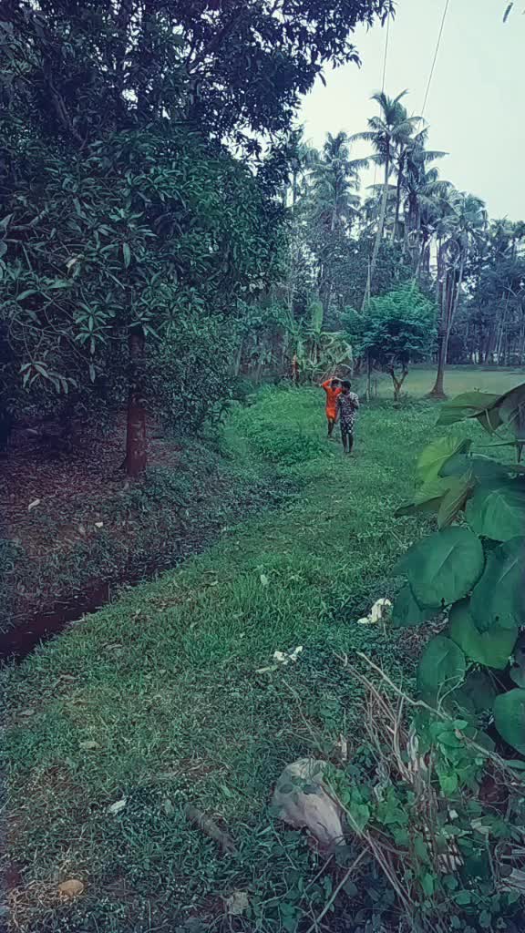 @Vishnu Viswanath