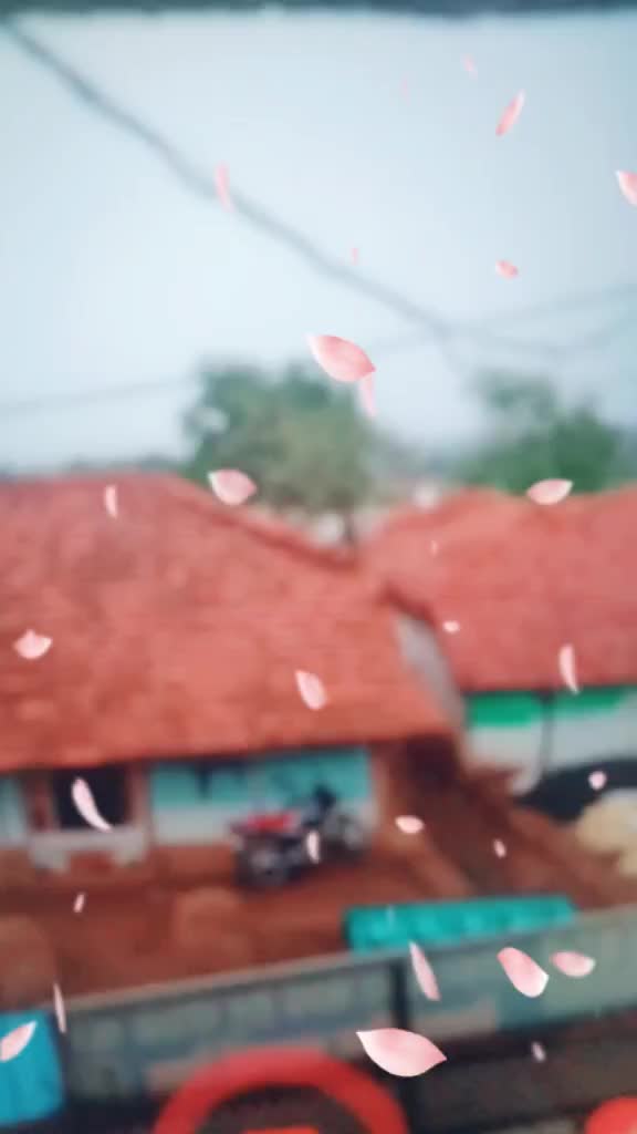 @Tohit Mansuri