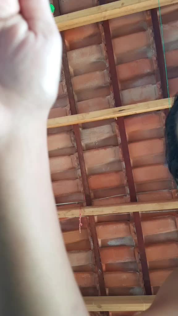 @Stefany Araújo