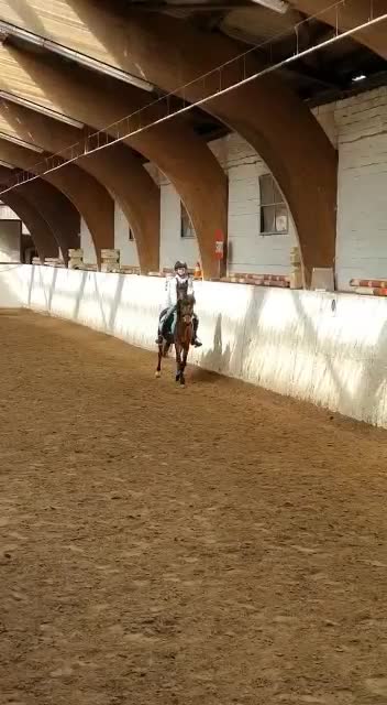@Pony.gruppe❤️✨