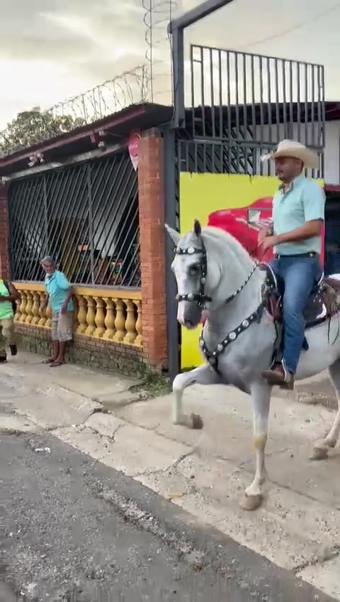 @Jose Rivas🦈