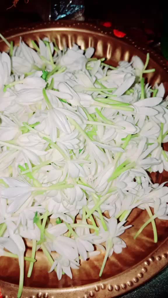 @SaishreeIni