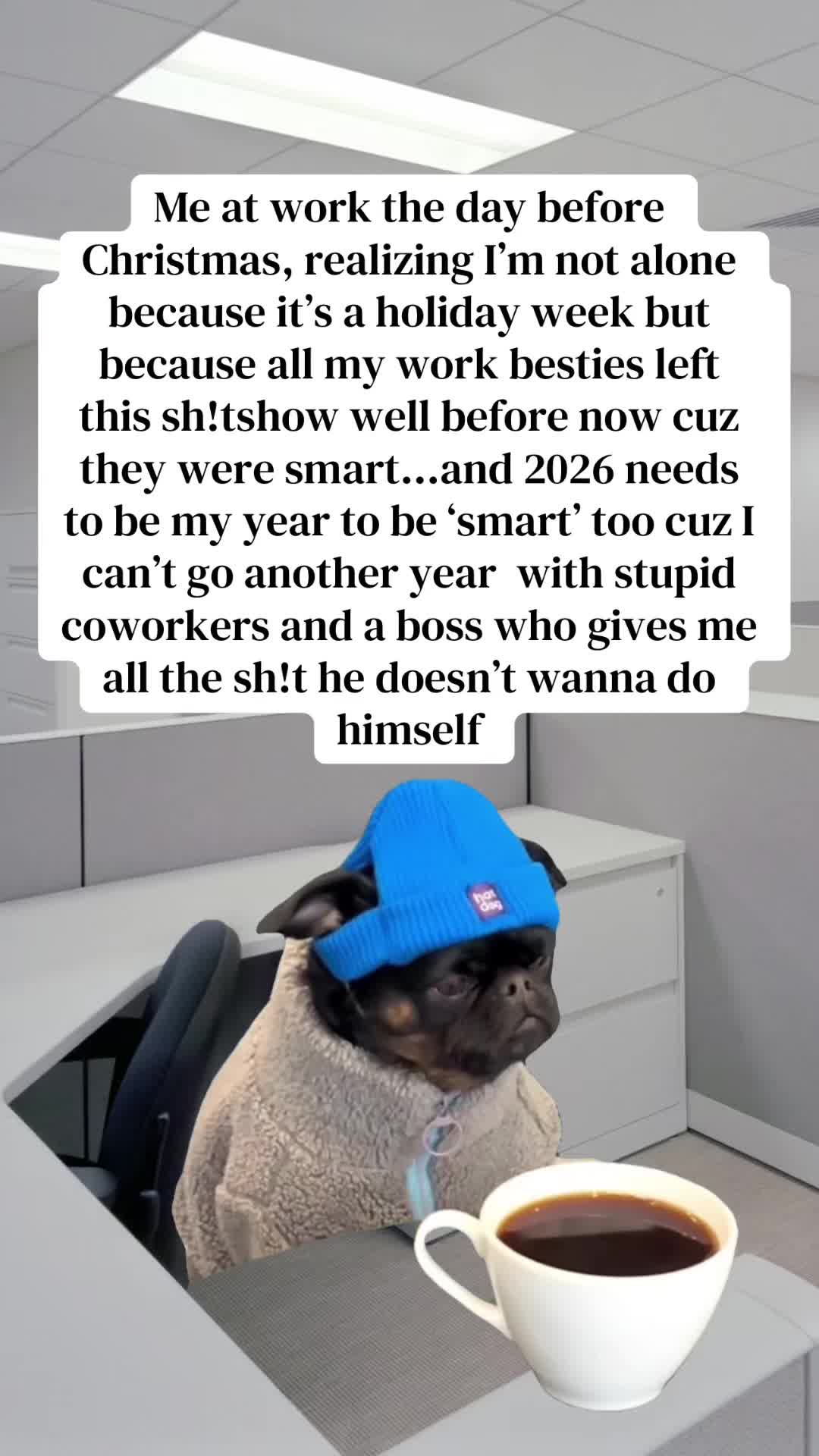@Office Snark w/ Mackenna B