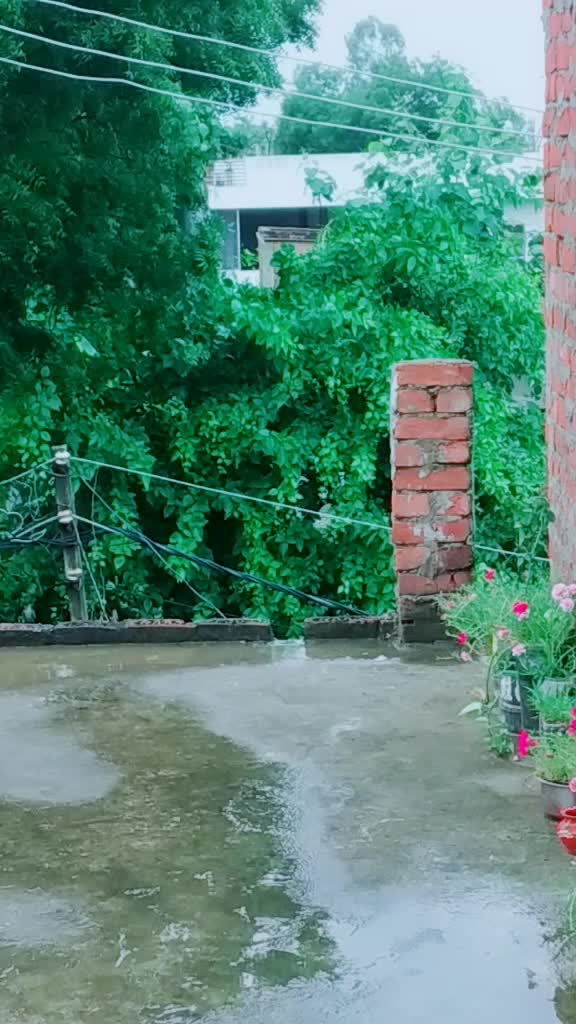 @sanjana600135🥰❤🥰