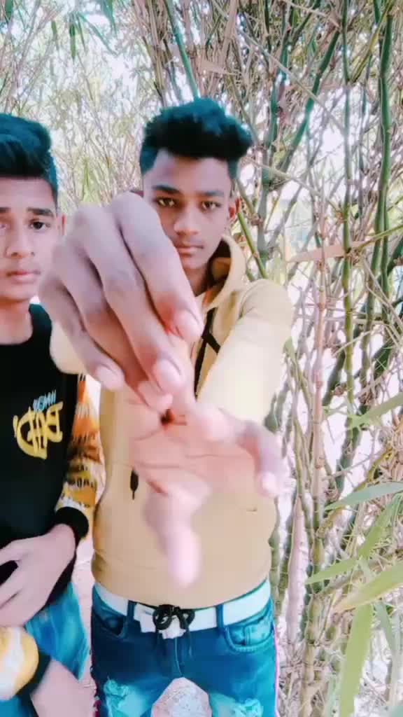 @Lavesh Mehroliya